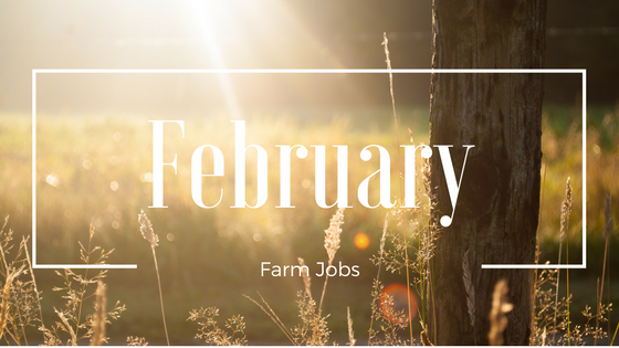 February Farm Jobs February Farm Jobs